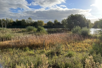 Photo of the lake at Abbotts Hall nature reserve