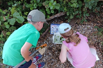 Pond dipping