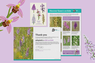 Adopt an orchid digital pack