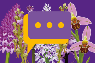 Bloomin Wild contact us box