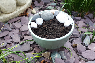 A shallow dish filled with soil, water and stones