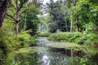 A large water body, with banks either side lined with luscious greenery and trees.