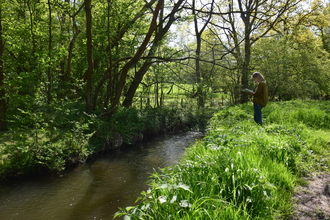 A person stands on the bank of a river reading.