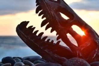 dino skeleton at sunset