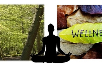 wellness