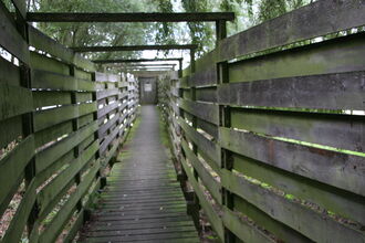Path to the bird hide at Hanningfield Reservoir Nature Discovery Park