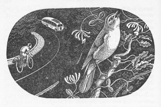 Image from Gillingham's book showing a drawing of a bird next to a busy road.