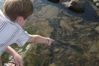 seashore science lab