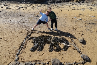 Giant sea weed Mammoth