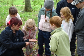 Forest school