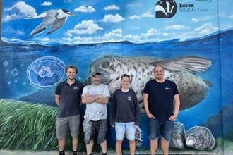The Essex Wildlife Trust Marine and Coastal Recovery Team alongside artist Dave Gnash, in front of a marine mural