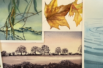 Viv autumn