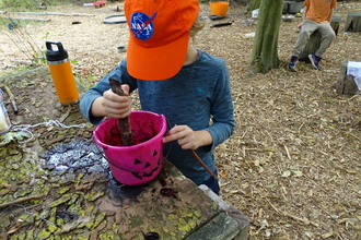blackberry tyedye