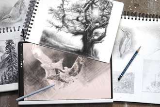 sketches of nature