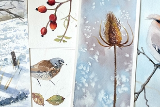 Winter watercolours with snow depicting a field scene, berries and birds.