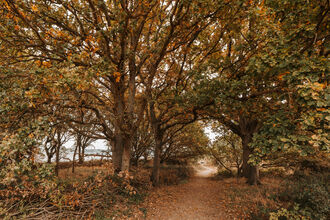 Autumn at Wrabness nature reserve