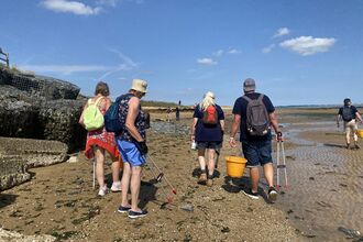 A group of people beach cleaning on a sunny day.