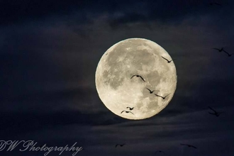 Super moon