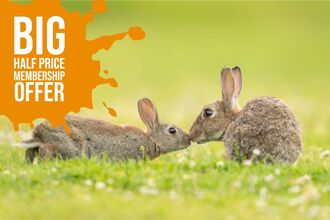 Half price joint membership offer