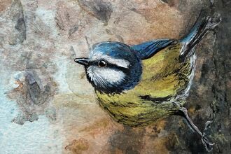 Watercolour of Blue Tit