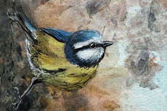 viv - 1st signs of spring