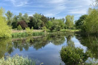 A big pond reflecing the trees and grass surrounding it, blue skies above