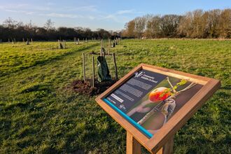 Gunners Park Orchard trees and signage