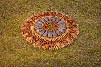 Natural mandalas