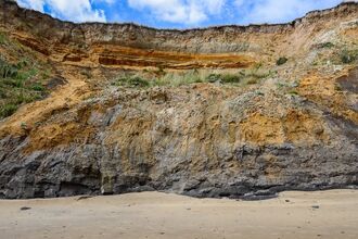 The Naze cliffs