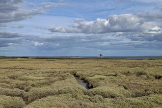 Tollesbury Wick marshes 