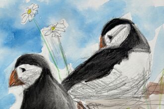 puffin