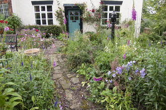 Wildlife Gardening by Tom Marshall 