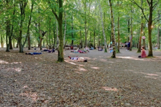 Forest Bathing