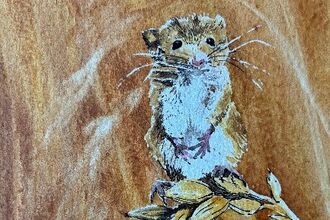 Watercolour painting 