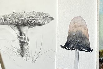 Watercolour painting 