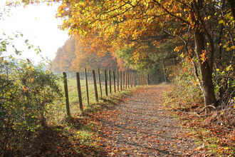 Hanningfield - Linda Peall
