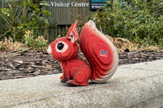 eugy squirrel