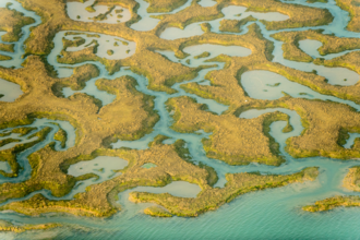 Saltmarsh from the sky - Abbotts Hall - Terry Whittaker