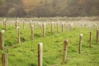 plastic tree guards 