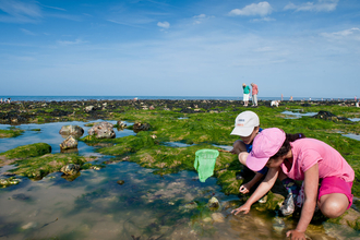 rockpooling