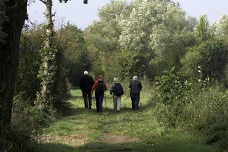 Walking in woodland area.