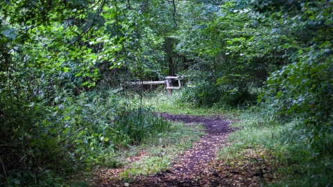 Brookes nature reserve 