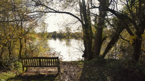 Chigborough Lakes nature reserve