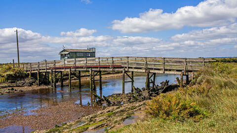 Colne Point Nature Reserve | Essex Wildlife Trust