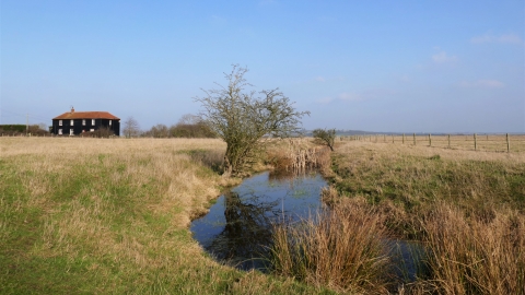 Blue House Farm