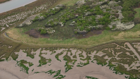 Skippers from the air 