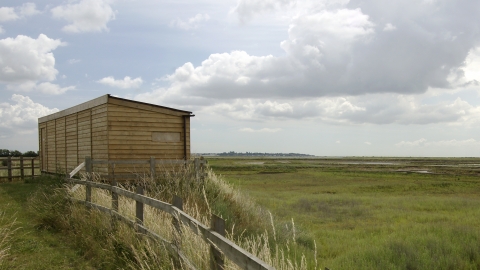 View from hide over estuary