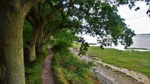 Wrabness Beach 