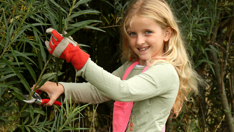Forest School