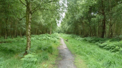 Gernon Bushes nature reserve 